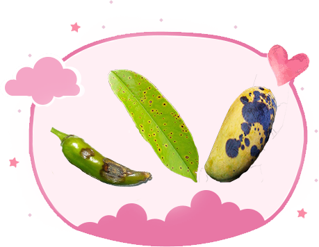 Thuốc trừ bệnh