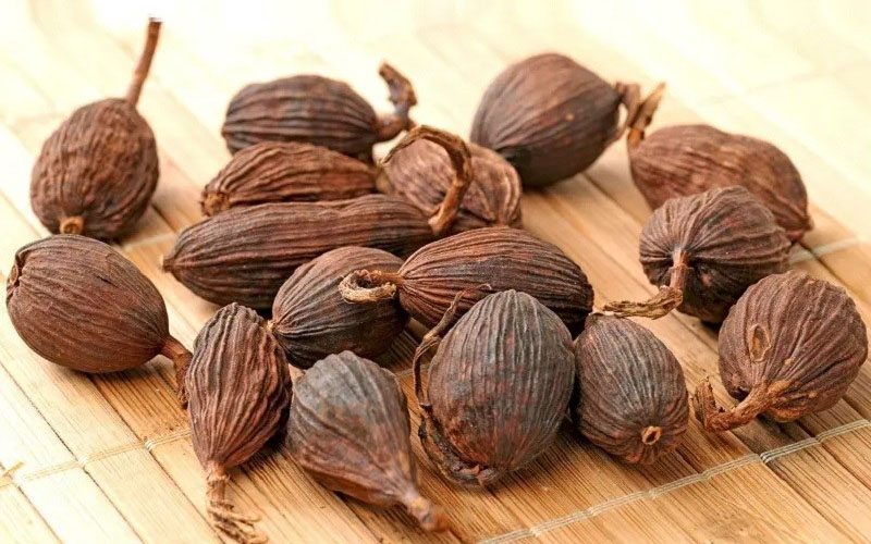 Thảo quả là gia vị nấu phở thuộc họ Gừng  Đại hồi