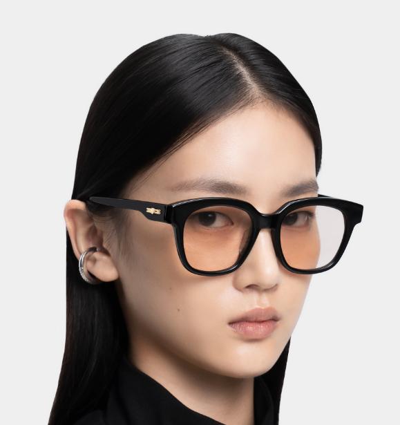 Kính Gentle Monster giá bao nhiêu? 9 điều cần biết trước khi mua Kính Gentle Monster