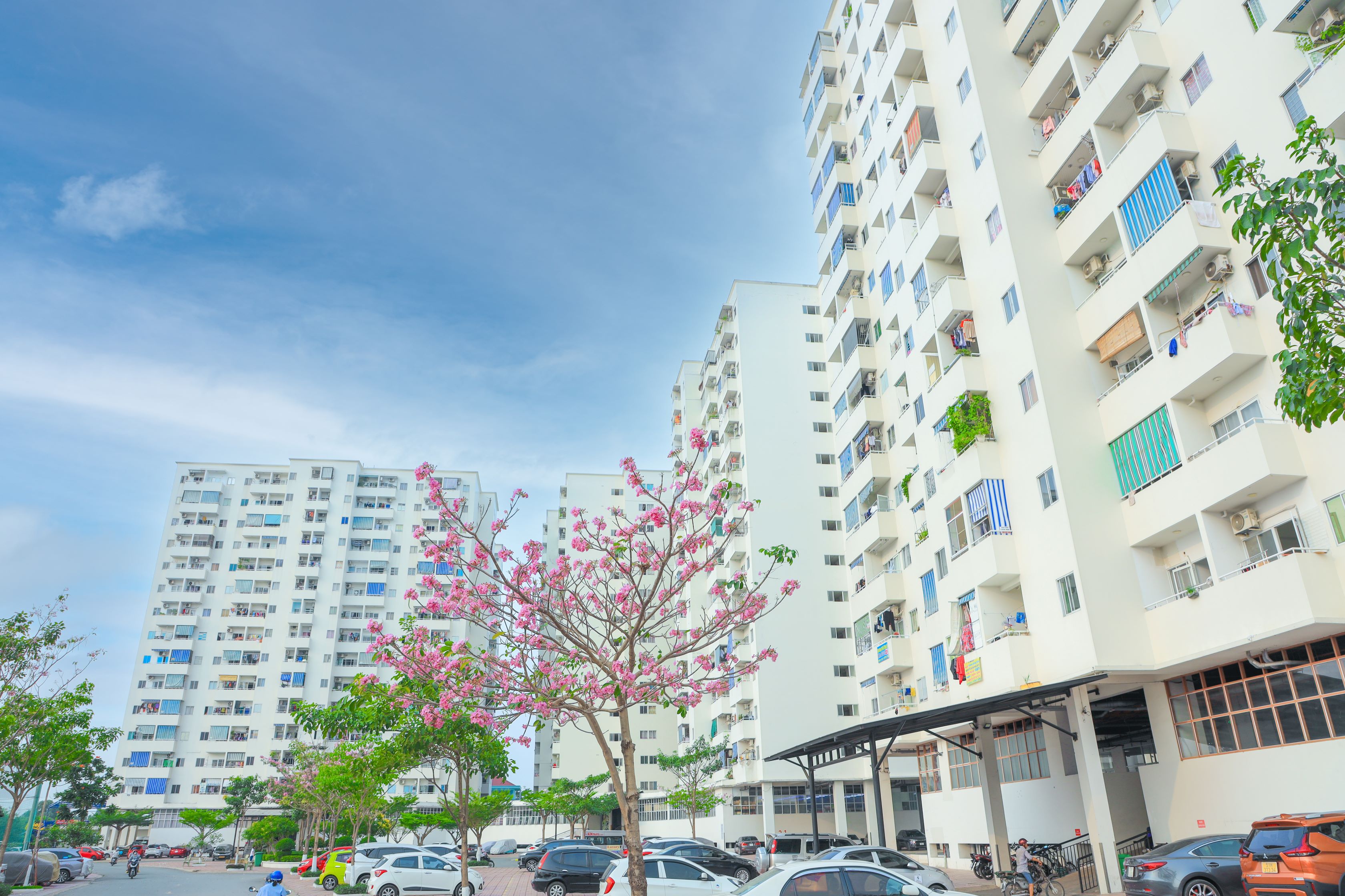 Thủ tướng chốt lãi suất cho vay mua nhà ở xã hội 4,8%/năm