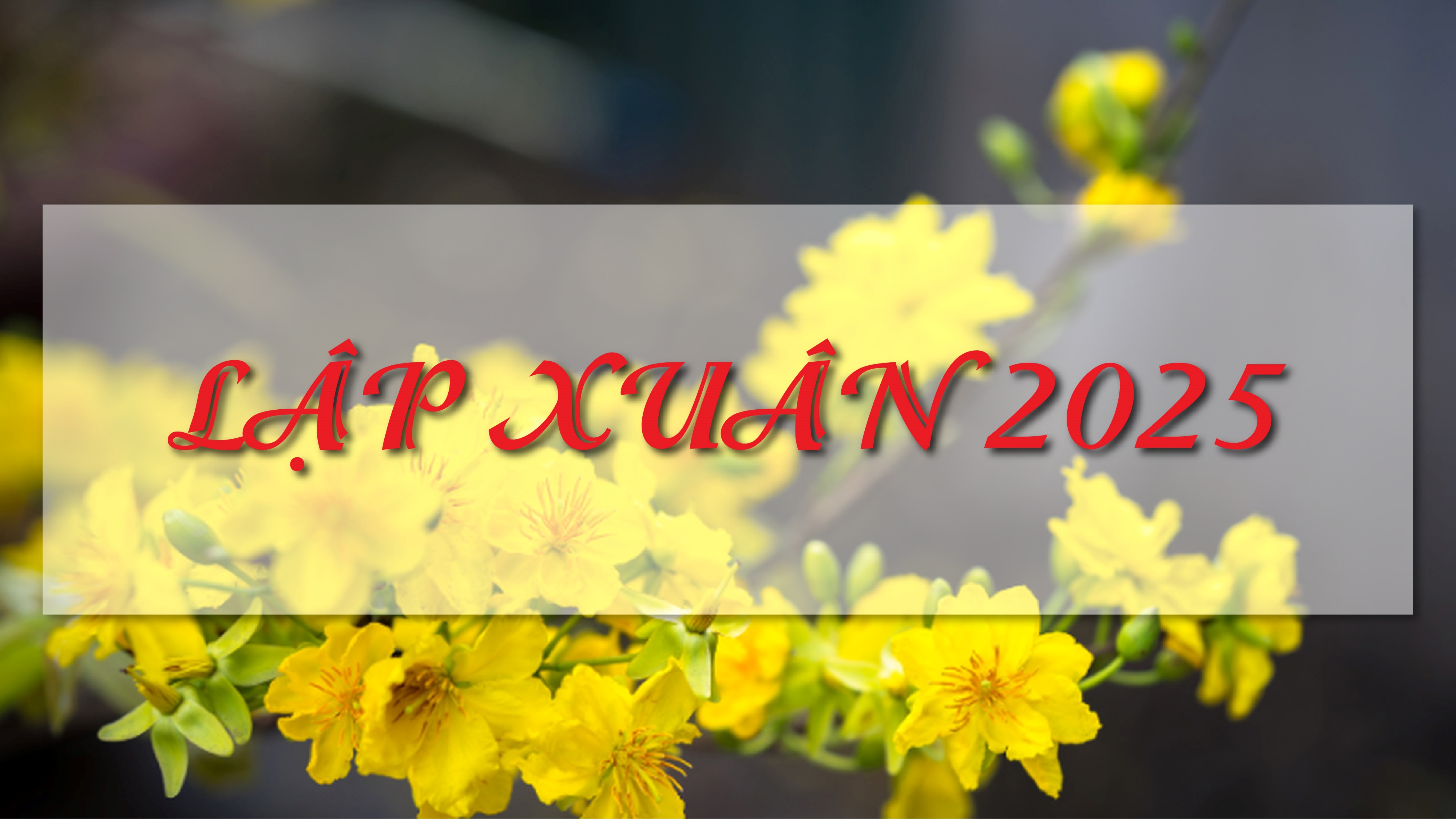 Những điều kiêng kỵ và nên làm trong ngày mai Lập Xuân 2025 để may mắn cả năm