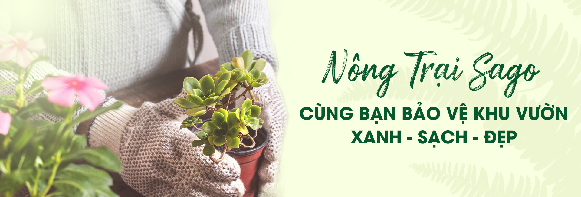 Nông trại Sago