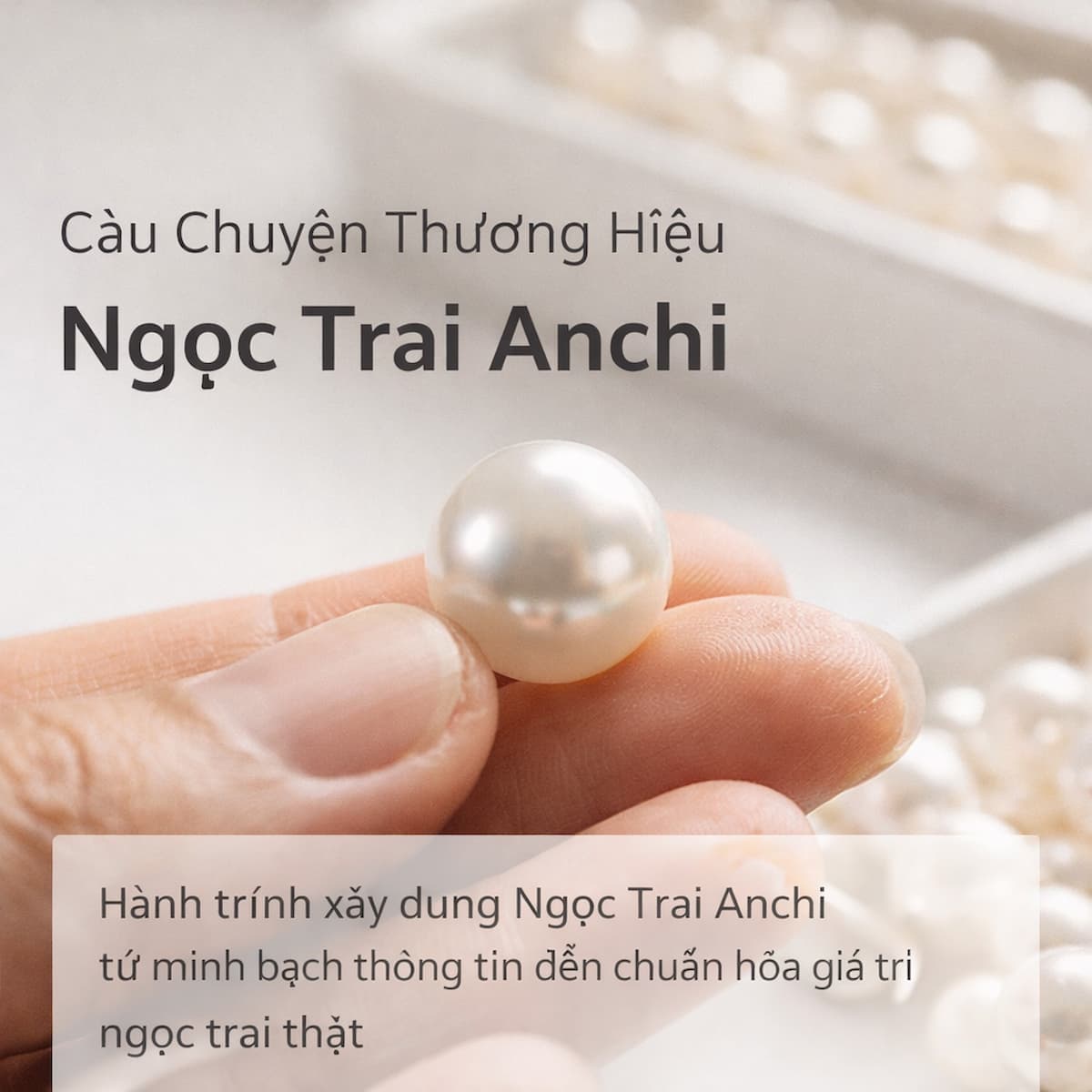 Câu Chuyện Thương Hiệu Ngọc Trai Anchi: Hành Trình Minh Bạch Giá Trị Ngọc Trai Thật