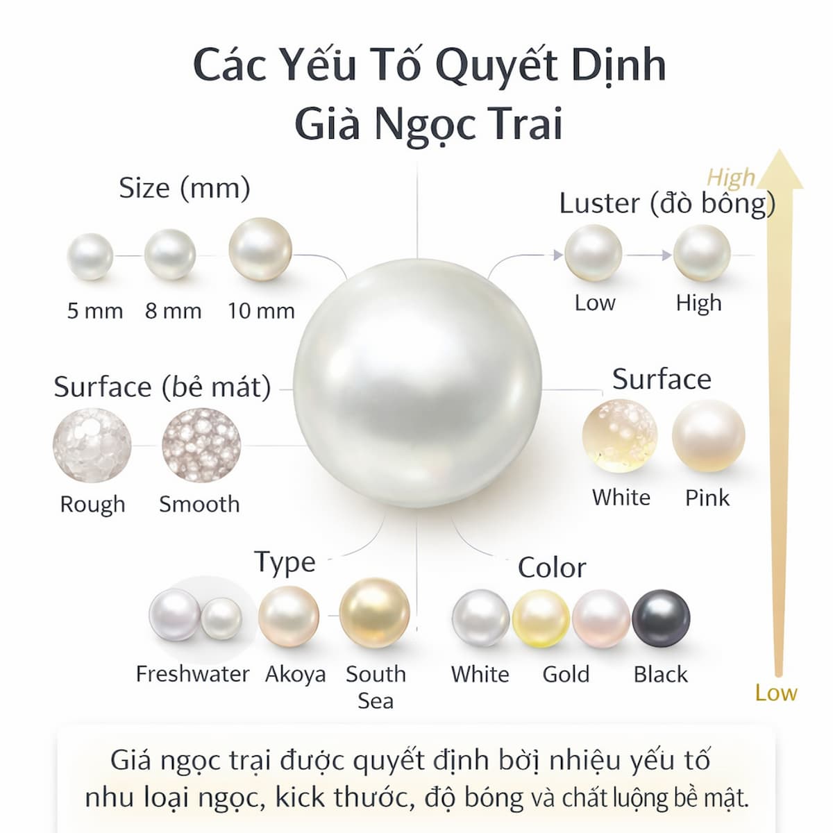 Giá Ngọc Trai Được Quyết Định Như Thế Nào? Hiểu Đúng Các Yếu Tố Ảnh Hưởng Từ A–Z