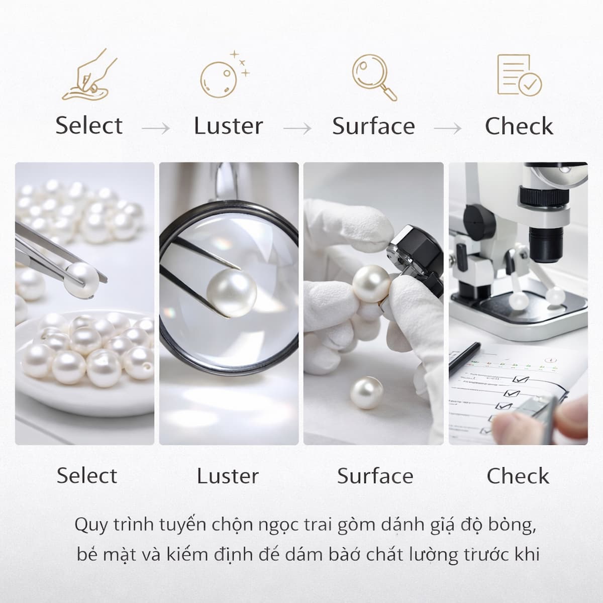 Quy Trình Tuyển Chọn Ngọc Trai: Tiêu Chuẩn Đánh Giá & Kiểm Định Chất Lượng Trước Khi Đến Tay Khách Hàng