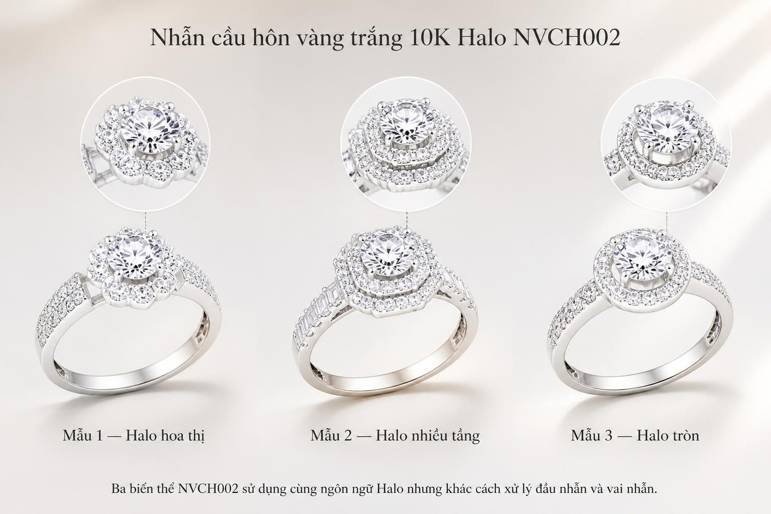 NVCH002 thể hiện ba cách xử lý Halo gồm hoa thị, nhiều tầng và Halo tròn trên nền vàng trắng 10K