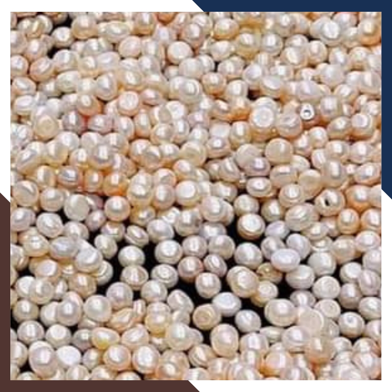 Ngọc trai thô chưa khoan lỗ làm cốt thất bảo đặt bát hương, yểm tượng, làm bột ngọc trai mã AC1250 - bán Sỉ toàn quốc