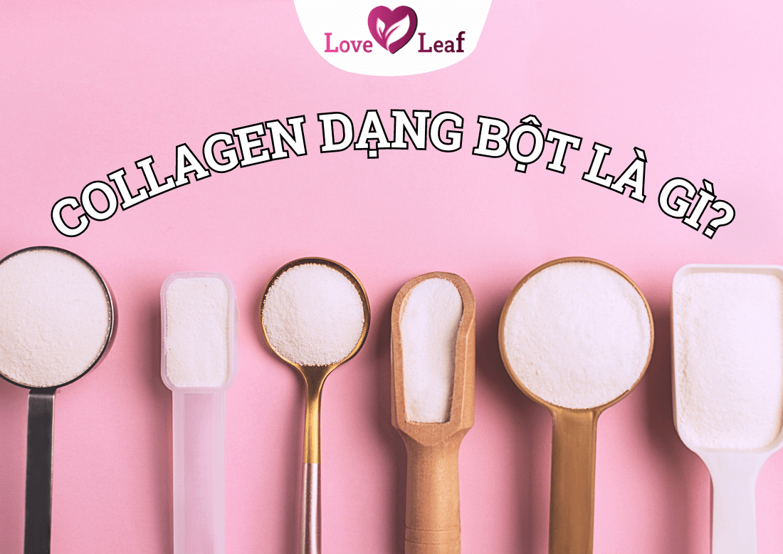 Collagen bột loại nào tốt