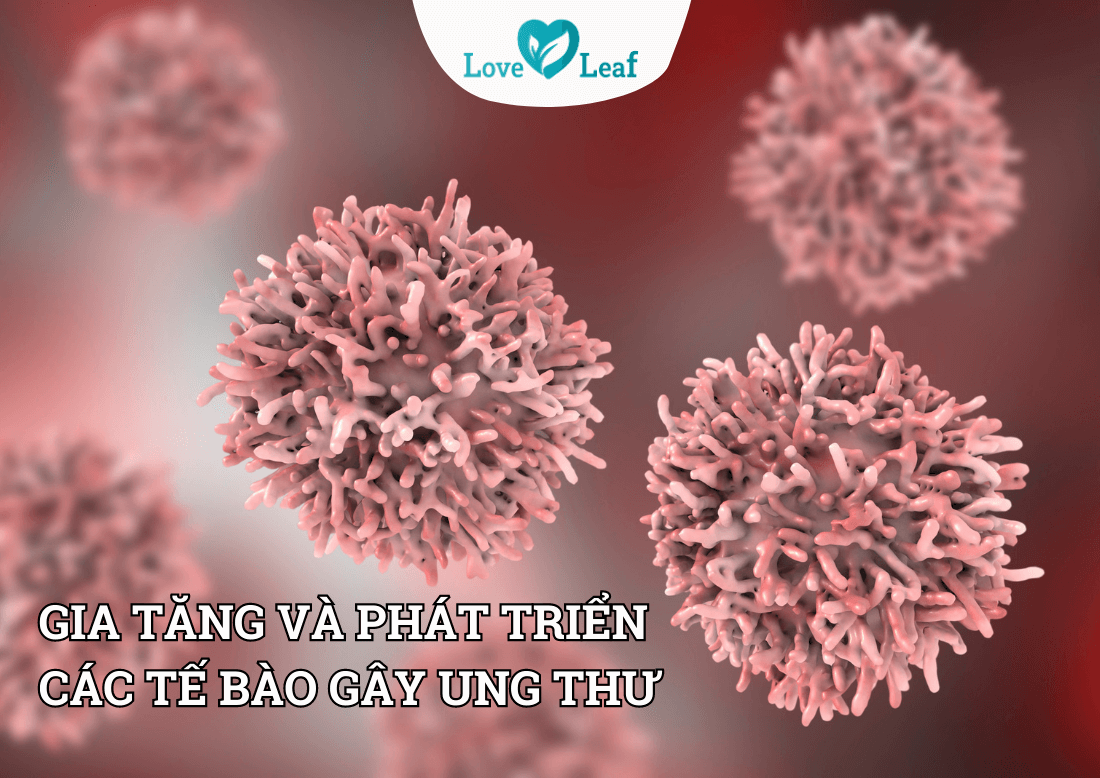 Nguy cơ hàng đầu gây nên các bệnh ung thư