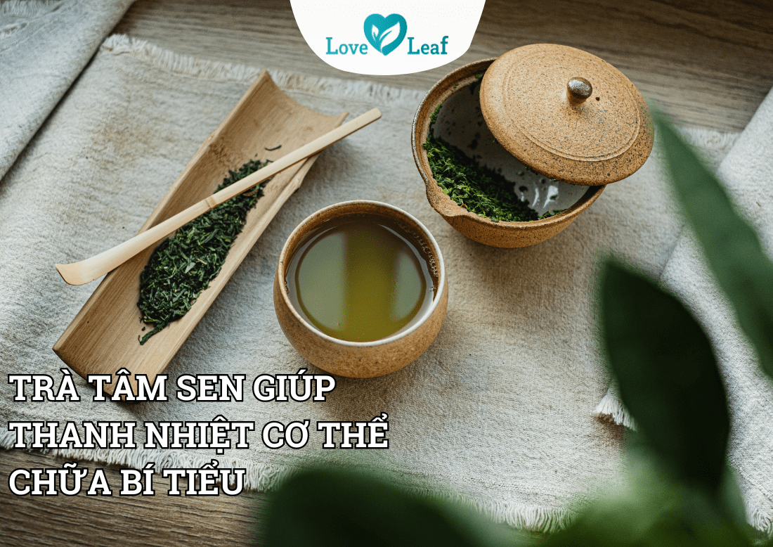 Trà tâm sen thanh nhiệt cơ thể, chữa bí tiểu