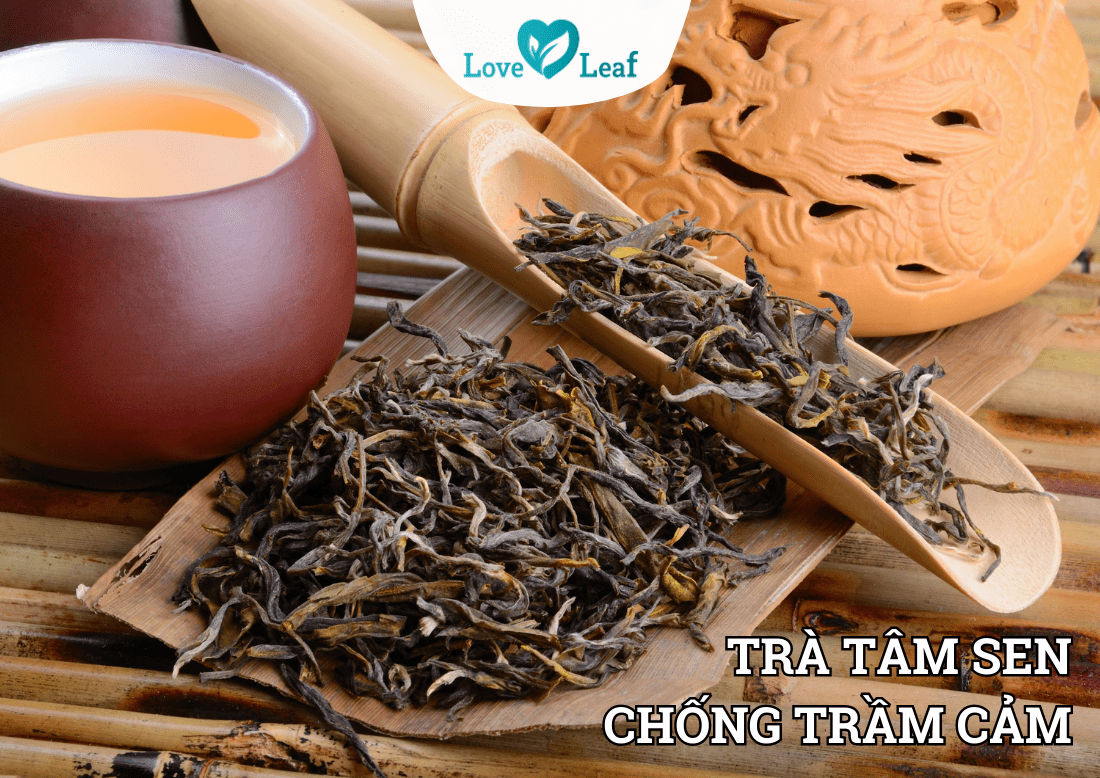 Tâm sen hỗ trợ chống trầm cảm