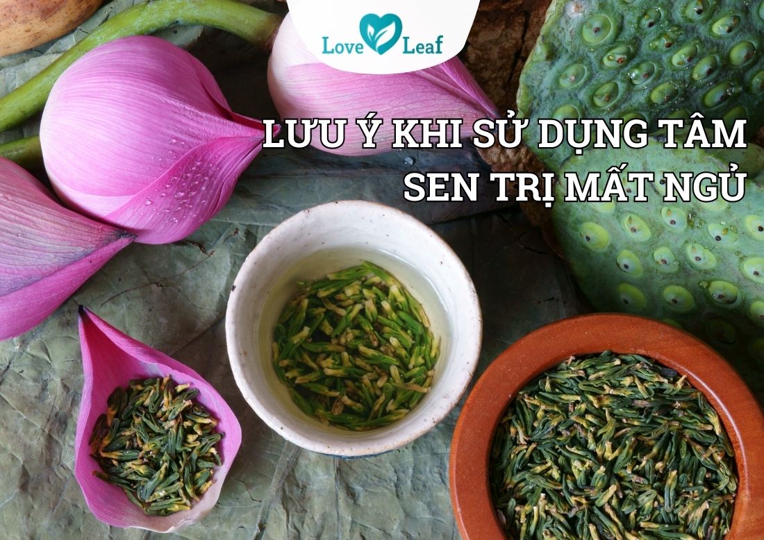 Lưu ý khi sử dụng trà tâm sen trị mất ngủ