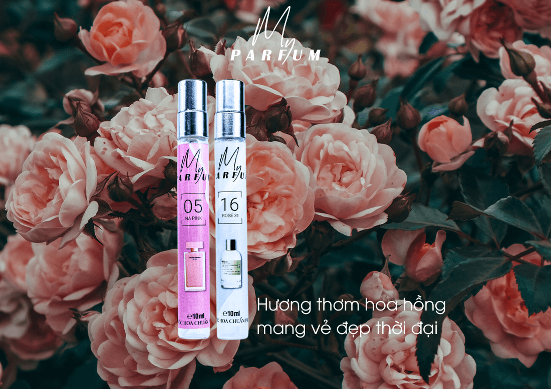 Hương hoa hồng, vẻ đẹp của thời đại