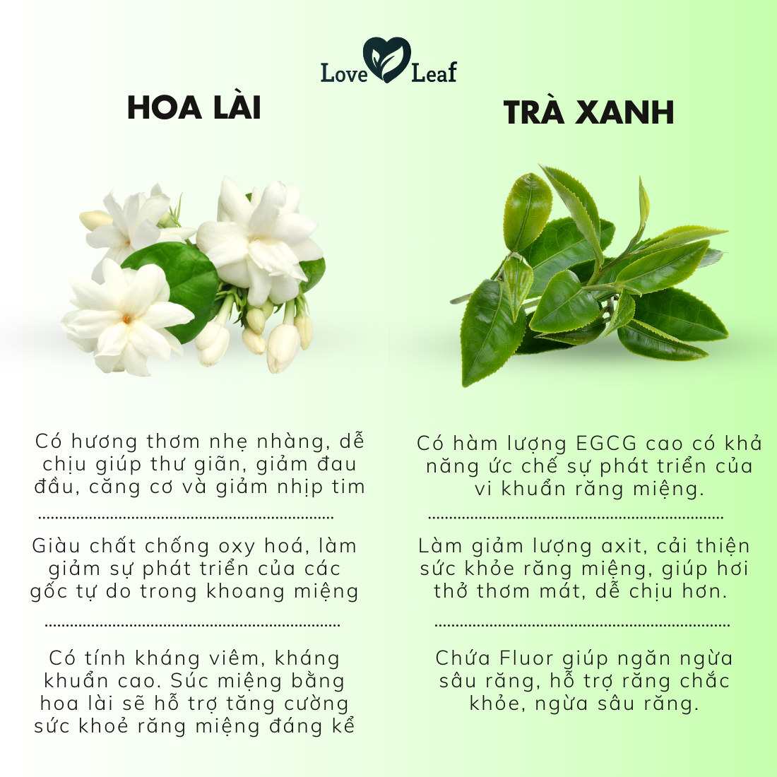 Chai Xịt Thơm Miệng Love Leaf Hương Hoa Lài - Trà Xanh Hương Hoa Dịu Nhẹ, Chai 8gr