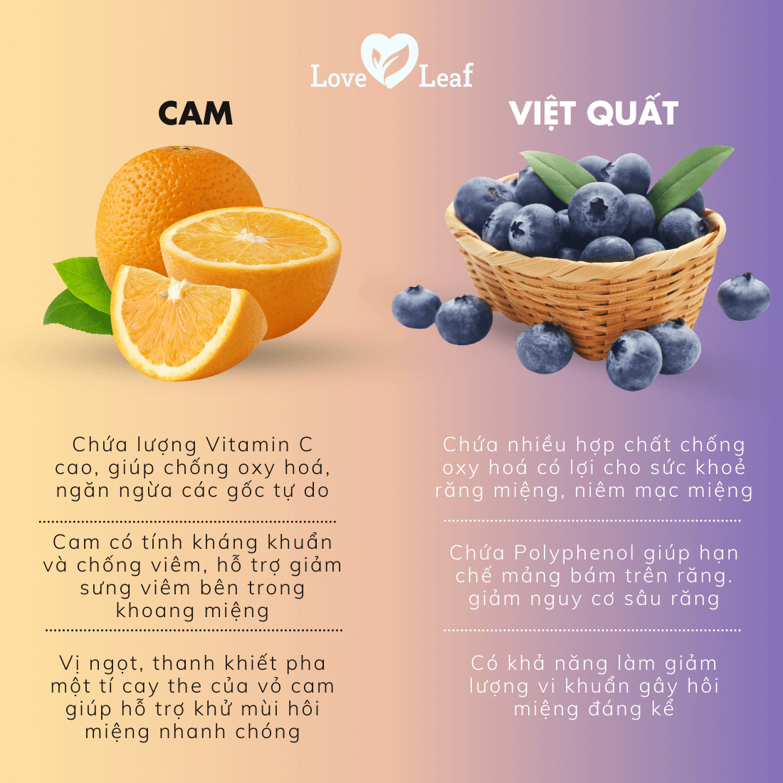 Chai Xịt Thơm Miệng Love Leaf Hương Cam - Việt Quất Khoảnh Khắc Thư Giãn, Chai 8gr