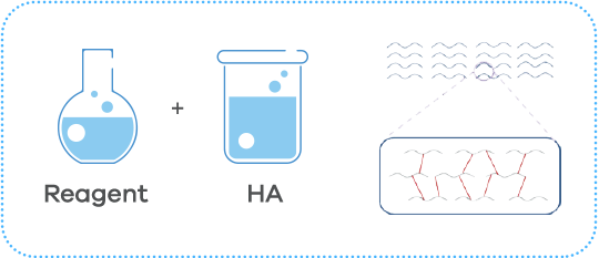 EXTENSIVE MODIFICATION OF HAEXTENSIVE MODIFICATION OF HA