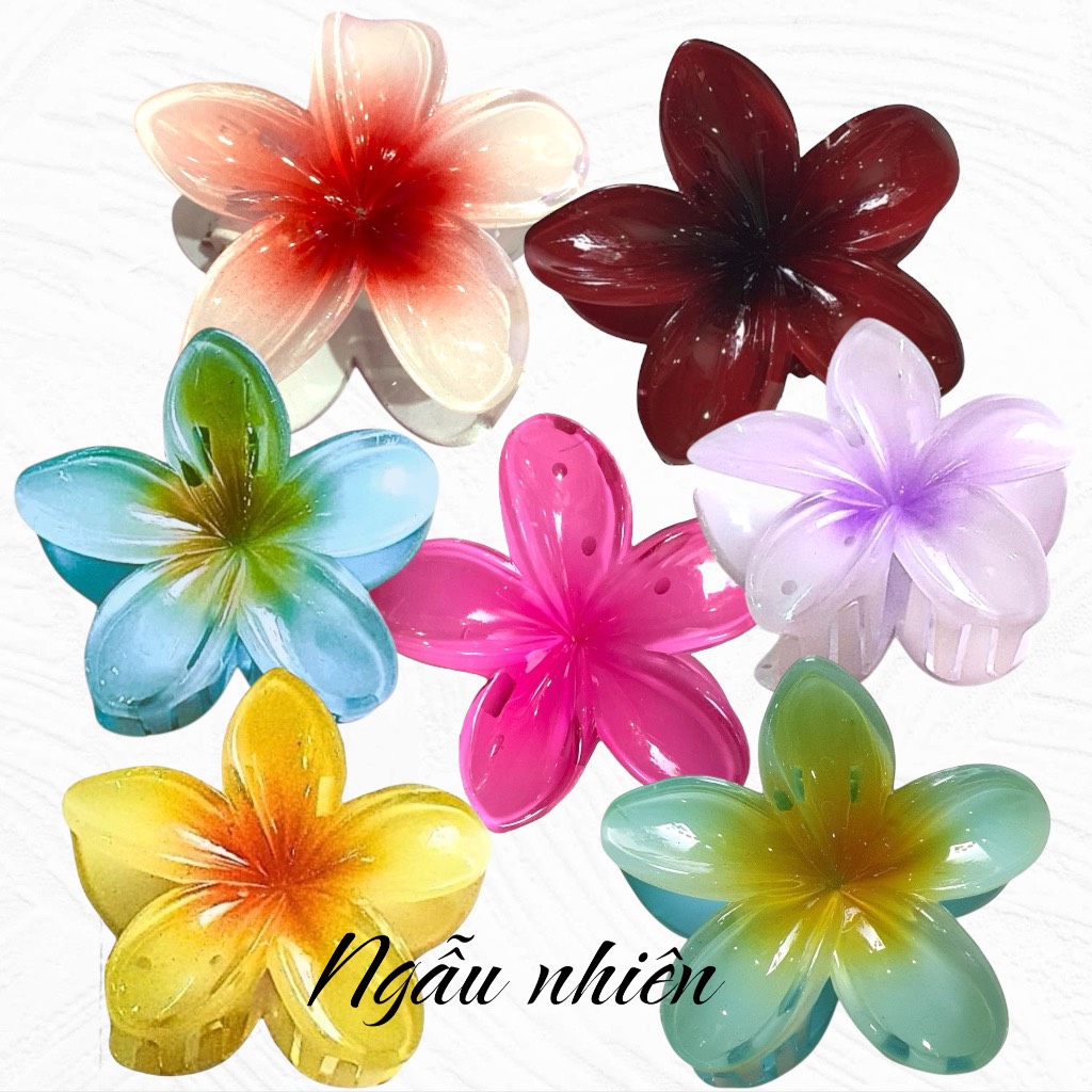 T7.1.Kẹp càng cua nhựa trong hoa sứ 8cm