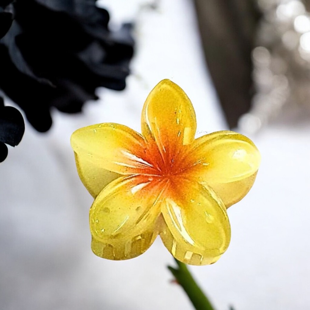 T7.1.Kẹp càng cua nhựa trong hoa sứ 8cm