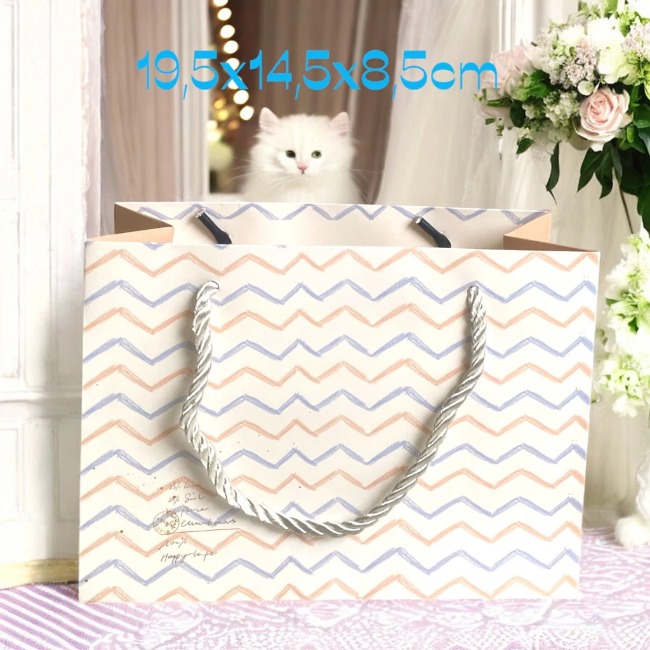 Túi giấy đựng quà