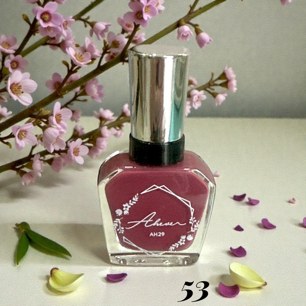 16.1 Sơn móng tay Ahever AH29