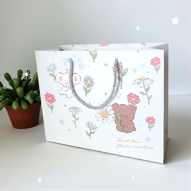 Túi giấy đựng quà ngang 24,5x19,5x9,5cm