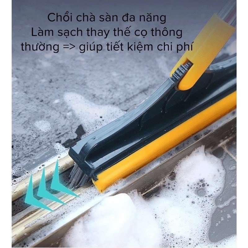 TSG Cây chà sàn xanh