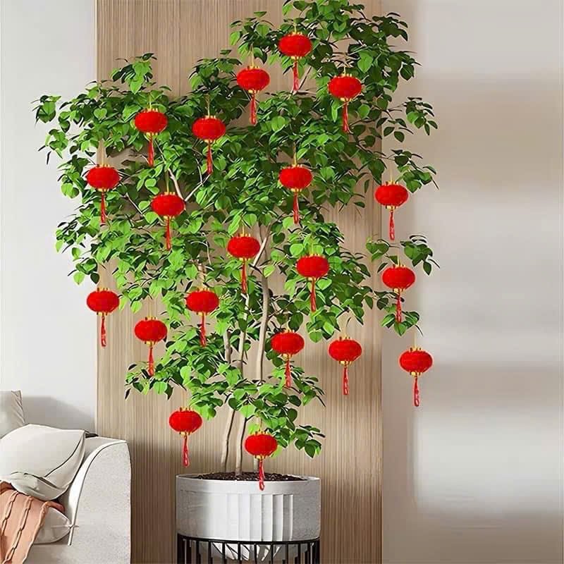 Lồng đèn nhung đỏ 6cm số 5