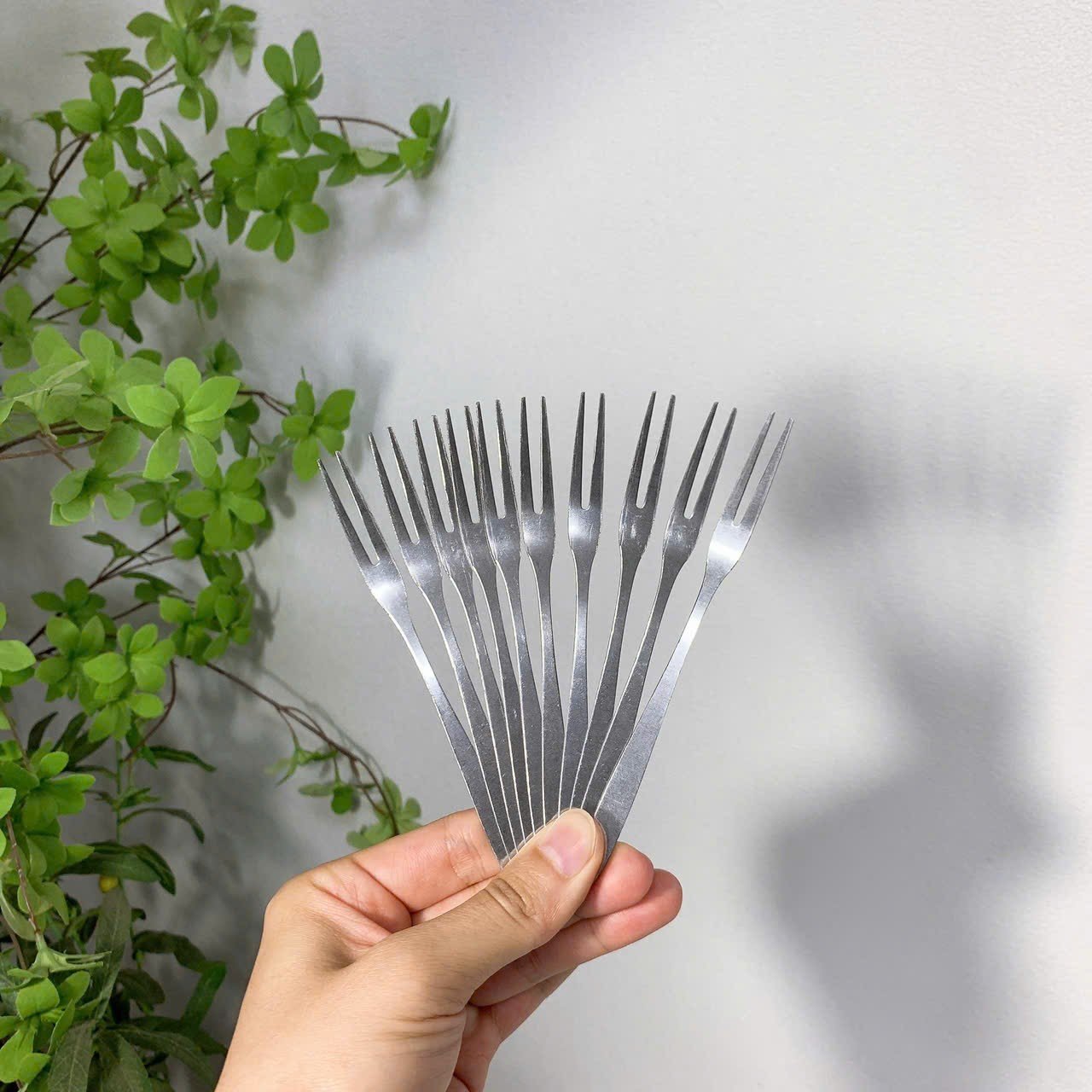Hộp 10 Nĩa Inox Zwilling cao cấp