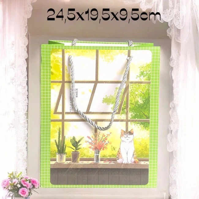 Túi giấy đựng quà