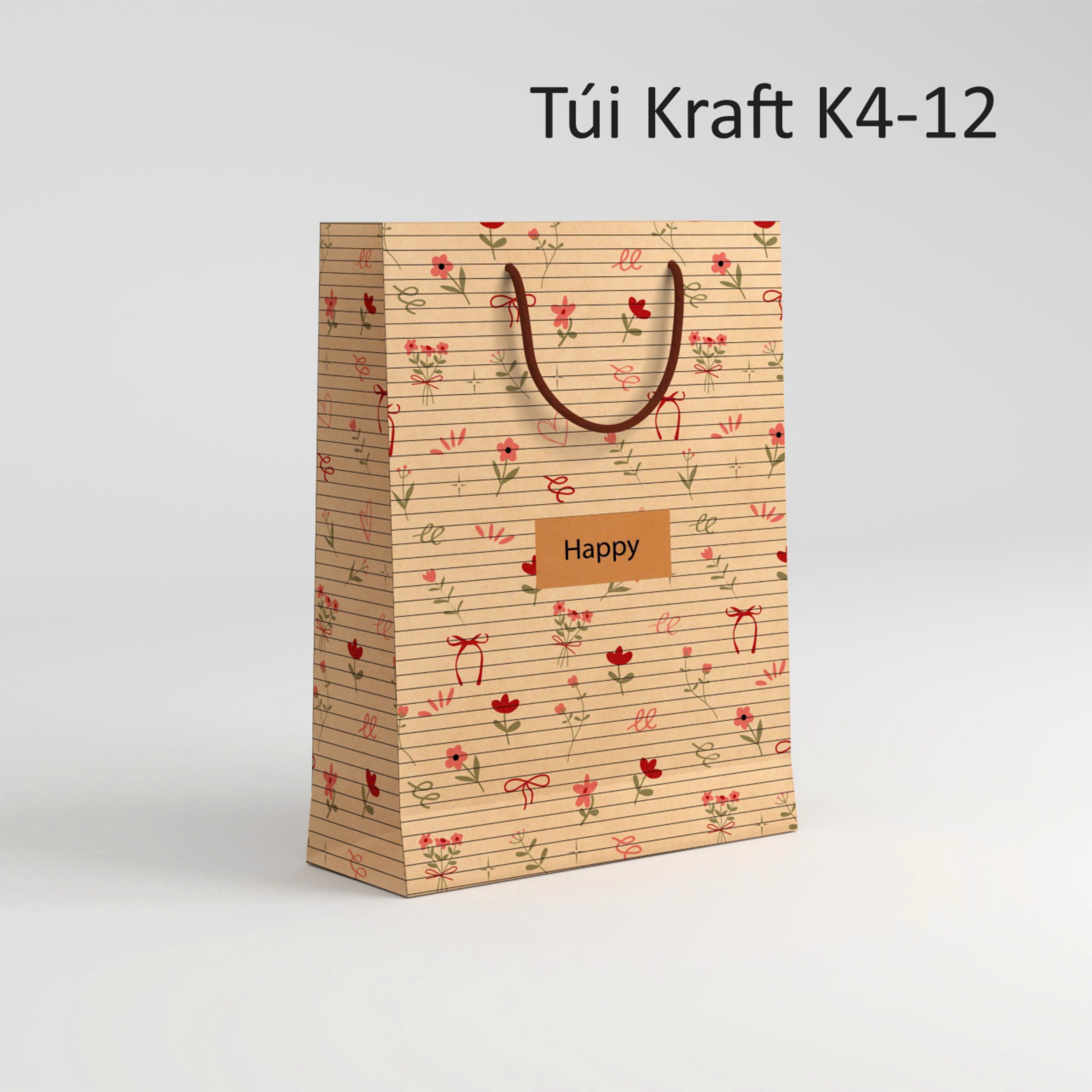 Túi giấy đựng quà Kraft K4-12 (19x27x9cm)