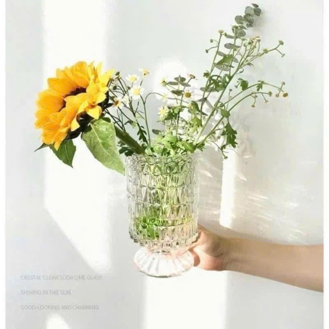 Bình/lọ hoa thuỷ tinh dạng ly