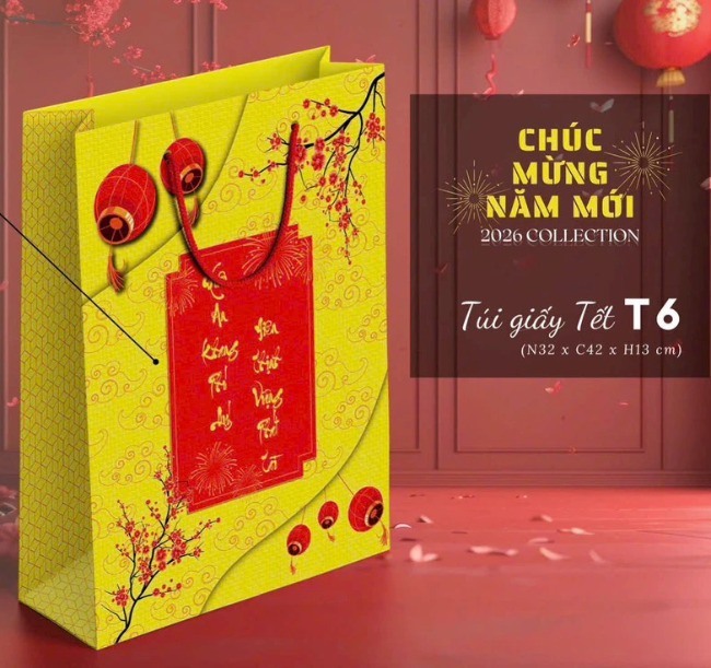 Túi giấy đựng quà cao cấp 32x42x13cm