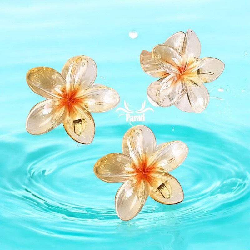 Kẹp càng cua hoa sứ tráng gương 8cm