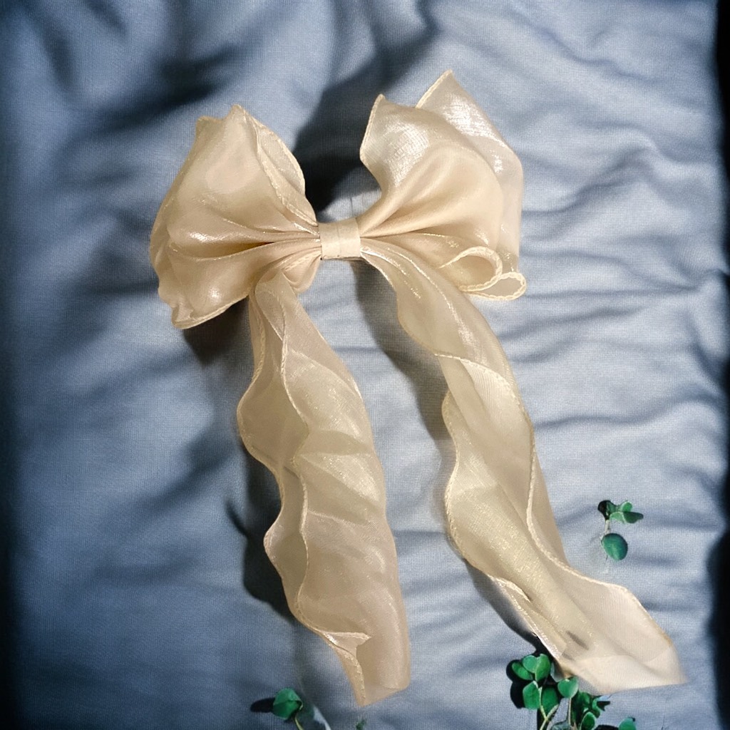 Kẹp nơ von dễ thương