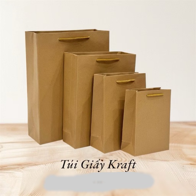 Túi giấy đựng quà trơn Kraft K2 (16x18x8cm)
