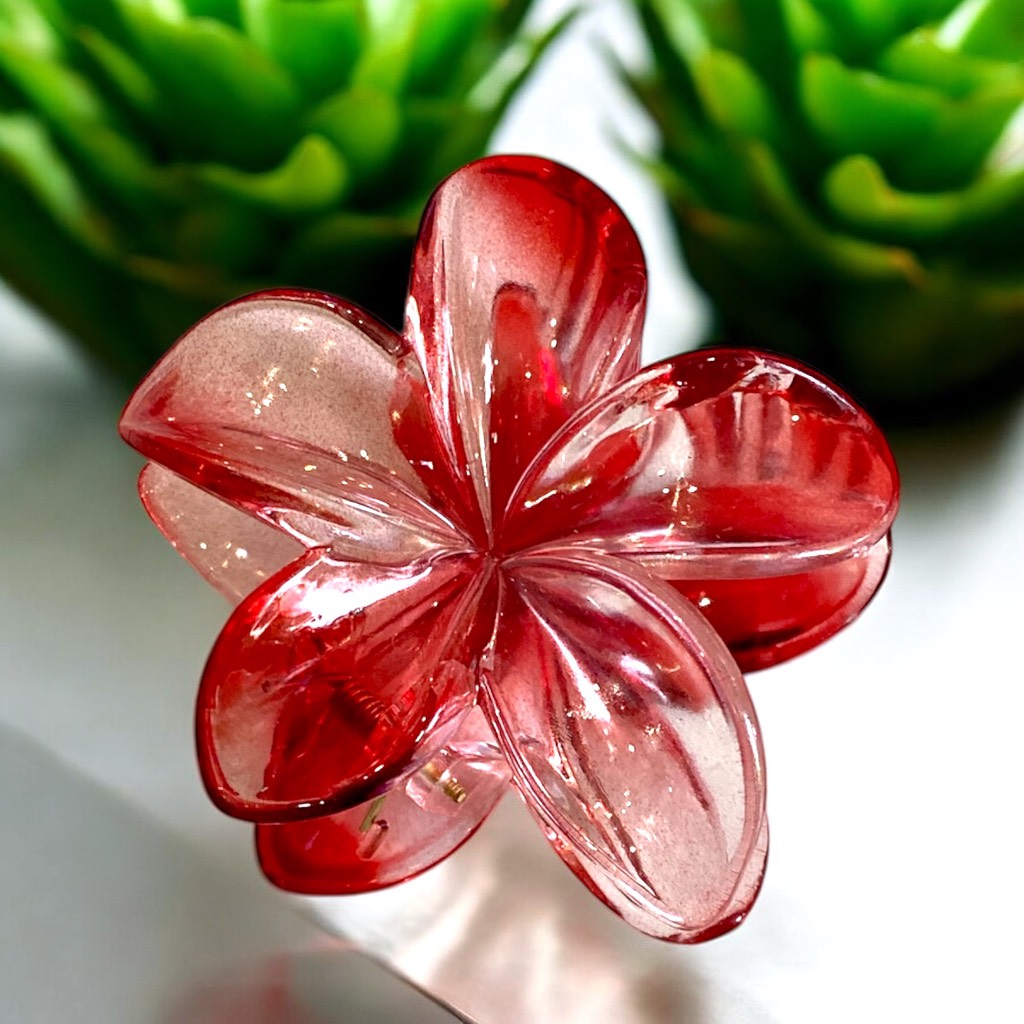 T7.1.Kẹp càng cua nhựa trong hoa sứ 8cm