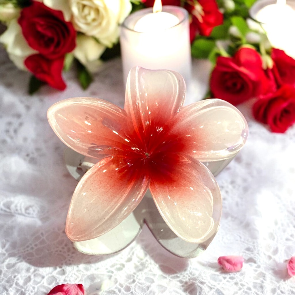 T7.1.Kẹp càng cua nhựa trong hoa sứ 8cm