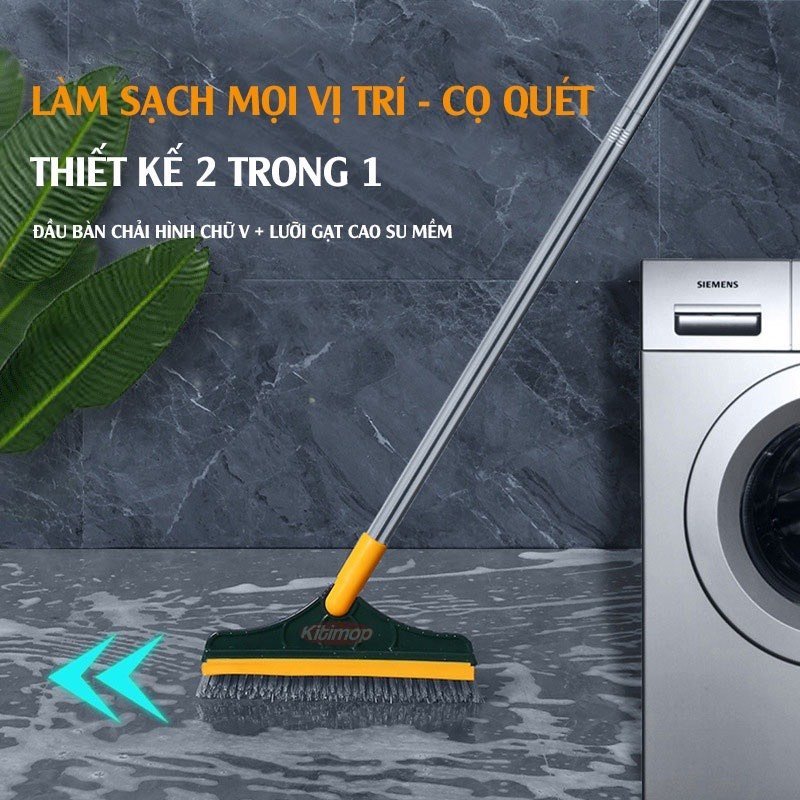 TSG Cây chà sàn xanh