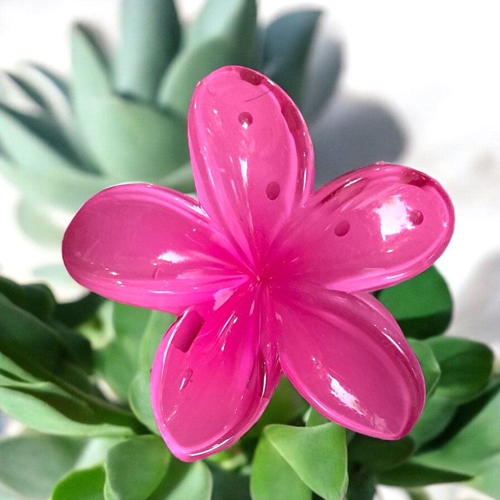 T7.1.Kẹp càng cua nhựa trong hoa sứ 8cm