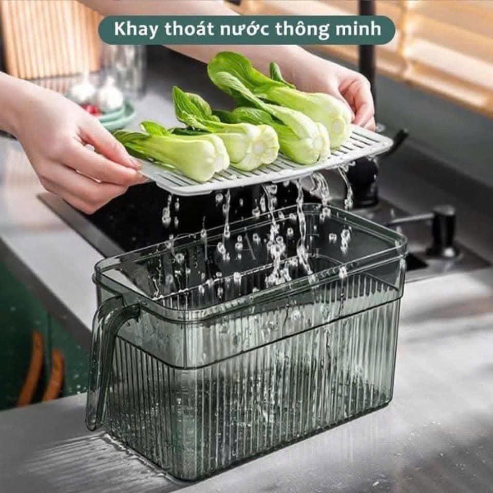 PT1.5 Hộp đựng thực phẩm tủ lạnh trong suốt có tay cầm và nắp 3,5L 24x13x13cm