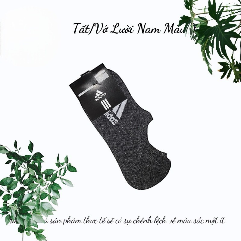 HLK Tất/Vớ Lười Nam