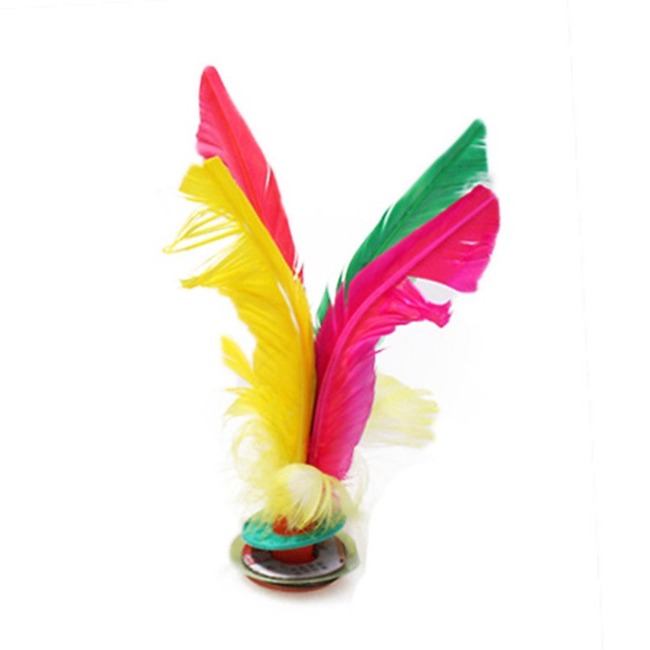 Cầu lông ngỗng nhiều màu