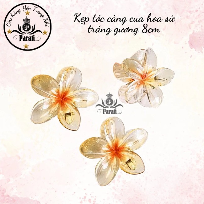 Kẹp càng cua hoa sứ tráng gương 8cm