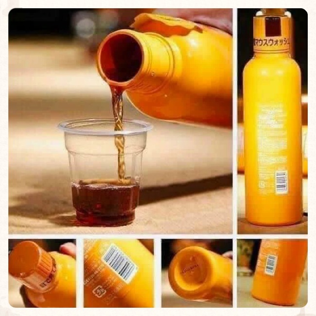 Nước Súc Miệng Proplinse Refresh Nhật Bản 600ml