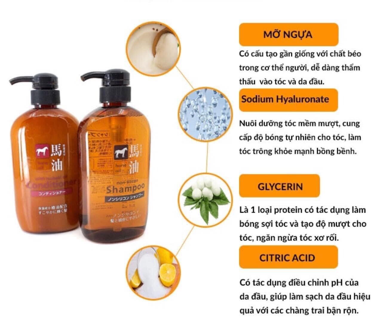 Dầu Gội, Xả Kumano Cosmetics Chiết Xuất Từ Dầu Ngựa  600ml