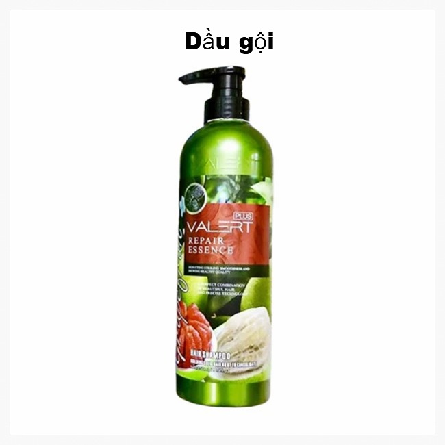 Dầu Gội Xả Bưởi Valert Grapefruit Trị Rụng Tóc 850ml