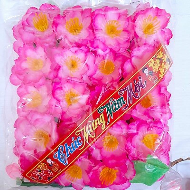 Bịch Hoa Mai, Hoa Đào Trang Trí Tết