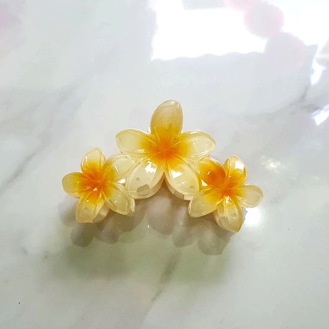 T7.2.Kẹp hoa sứ 3 bông