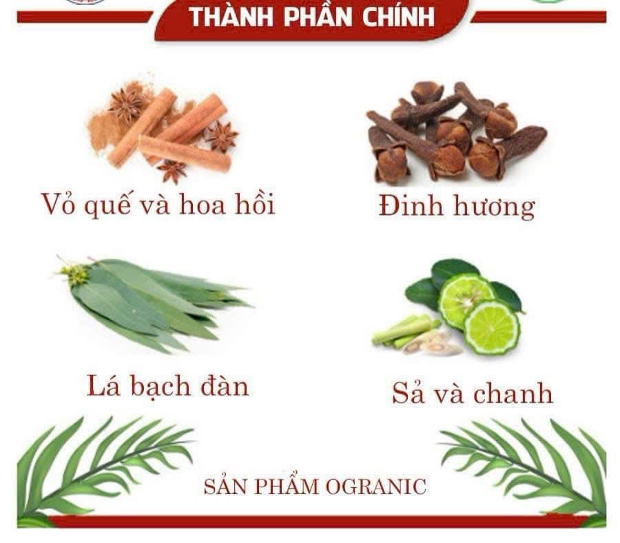 SKG5. Nước lau bàn thờ tinh dầu thao mộc Tâm An 500ml