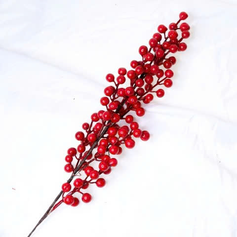 Cành đào đông đỏ trang trí tết